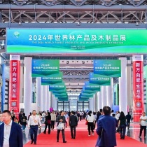 2025年广西国际林产品及木制品展门票多少钱，怎么购买？