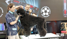 2025广州自有品牌展展位图与展位价格