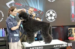 广州国际自有品牌展展会现场(现场盛况)10