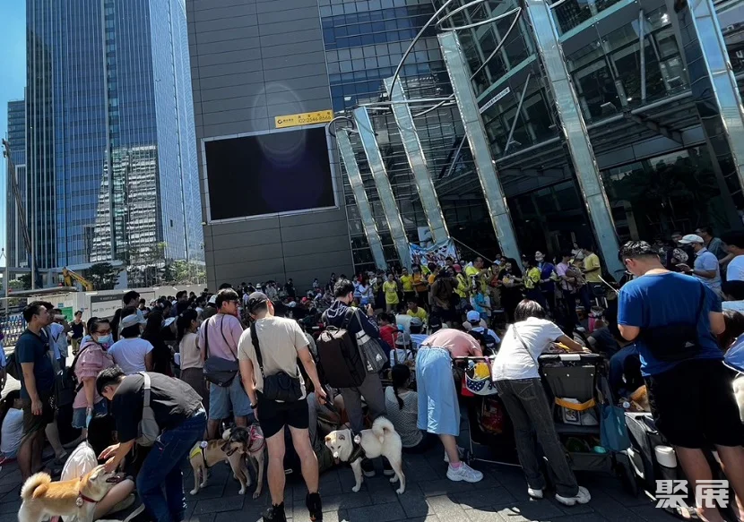 台湾宠物用品展览会