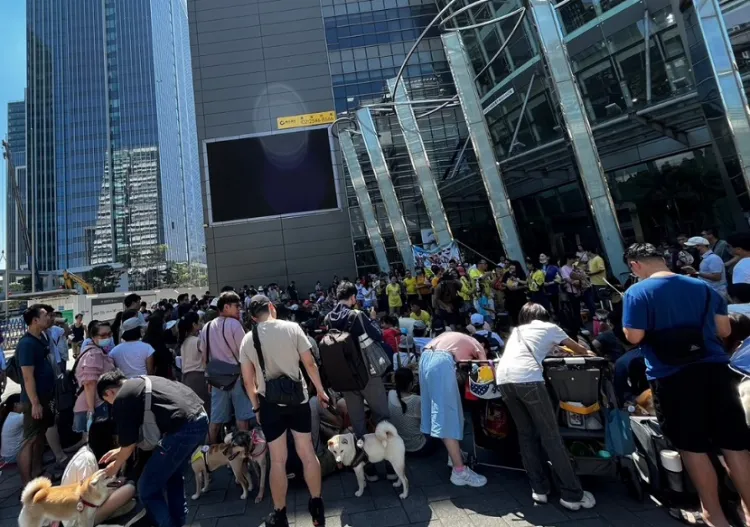 台湾宠物用品展览会