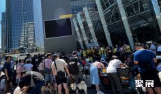 2026台湾宠物展 (TAIPEI PETS SHOW)参展攻略(时间地点+门票价格)