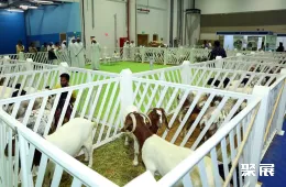 阿联酋畜牧展展会现场(现场盛况)6