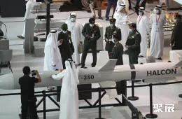 伊拉克防务展现场图片2