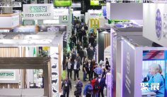 2026年莫斯科畜牧展门票哪里买,购买途径?