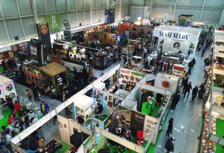 西班牙大麻展览会