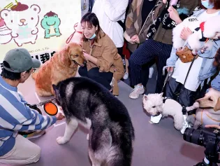 2025成都宠博会展位图与展位价格