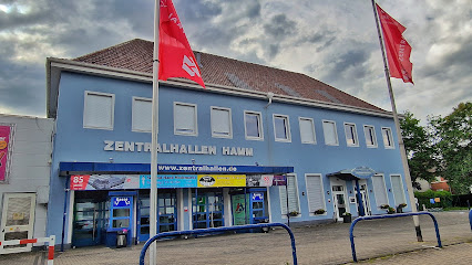 Terraristika Hamm