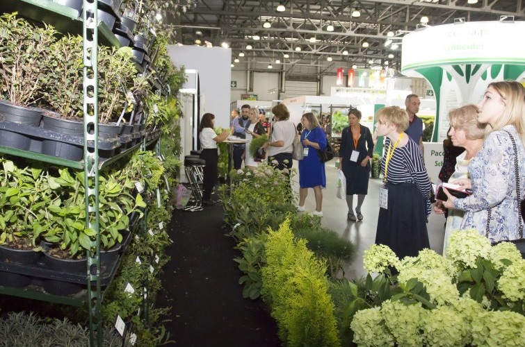 俄罗斯花卉园艺展现场图片6