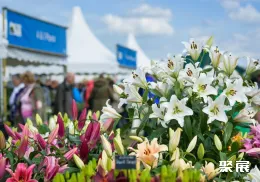 英国花卉展现场图片10