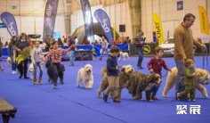 2026年葡萄牙宠物展门票购买方式,多少钱一张?