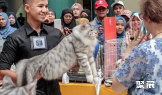 马来西亚宠物展(Pet Expo Malaysia)2026展品有哪些?