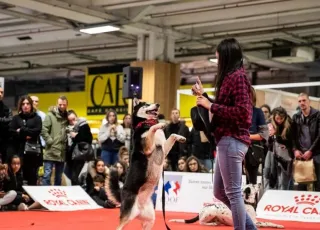 2026法国宠物展会刊