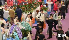 北京花卉园艺展2024门票怎么购买 怎么购票