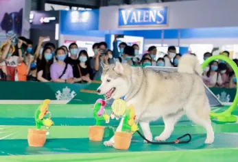 北京亚宠展2025门票多少钱