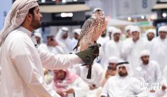 迪拜狩猎展2025参展攻略(时间地点+门票价格)