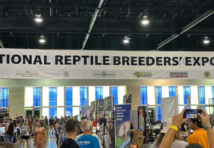 2025年美国爬宠展门票多少钱,怎么购买?