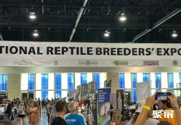 美国爬宠展现场图片1