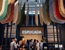 俄罗斯室内装饰展现场图片3