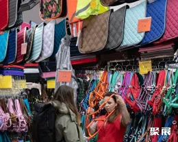 德国马术展现场图片8