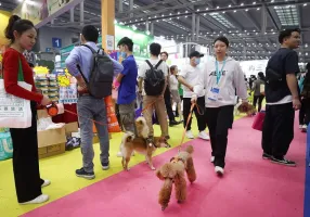 2025年深圳宠物用品展门票哪里买，购买途径？