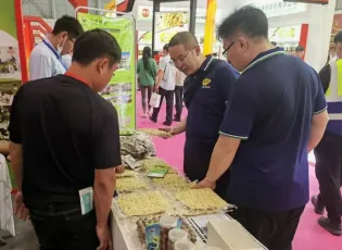 2025年合肥坚果展门票价格，如何购买？