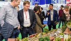 德国玩具展2025门票价格,怎么购买?