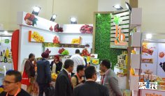 埃及食品展2025参展攻略(时间地点+门票价格)