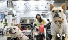 2026东京宠物展(Interpets Asia Pacific)参展攻略:时间/地点/门票怎么买?