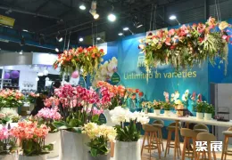 北京花卉园艺展现场图片9