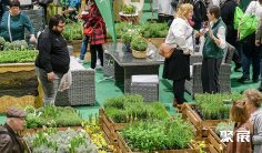 德国花卉展2025展位费与展位申请