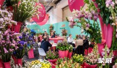 2026德国园艺展时间和举办地点