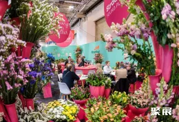 德国园艺展现场图片6