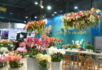 2027上海花卉园艺展 (Hortiflorexpo IPM Shanghai )观众预登记火热进行中