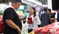 成都糖酒会(全国糖酒会)2026最新会刊