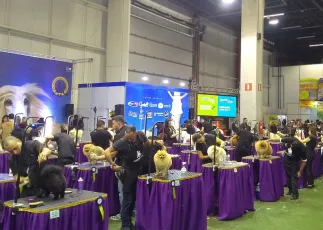 巴西宠物展2026最新展商名录