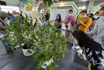 2024泰国曼谷大麻展-亚洲国际大麻论坛AIHE门票购买途径 购票入口
