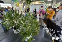 曼谷大麻展展会现场(现场盛况)9