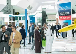 阿布扎比光伏展现场图片3