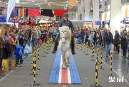 德国马术展现场图片3