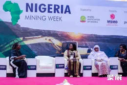 尼日利亚矿业展现场图片4