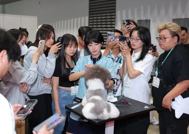 2026越南宠物用品展(InterPetFest)展品范围有哪些?