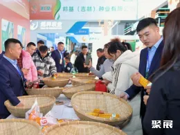 哈爾濱種子展展會(huì)現(xiàn)場(chǎng)(現(xiàn)場(chǎng)盛況)3