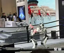 杭州机器人展展会现场(现场盛况)4