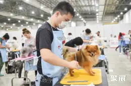 新加坡宠物用品展展会现场(现场盛况)5