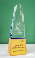 展商风采 | 喜讯！武汉芯源半导体荣膺2025年度“硬核芯”评选两大奖项