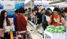 2026印尼潜水展时间和举办地点