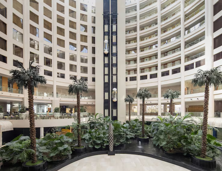 印度新德里德瓦卡丽笙酒店实景