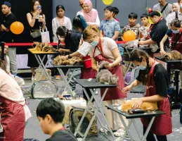 2025年香港猫博会门票多少钱，怎么购买？