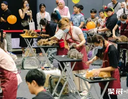 香港猫博会现场图片2